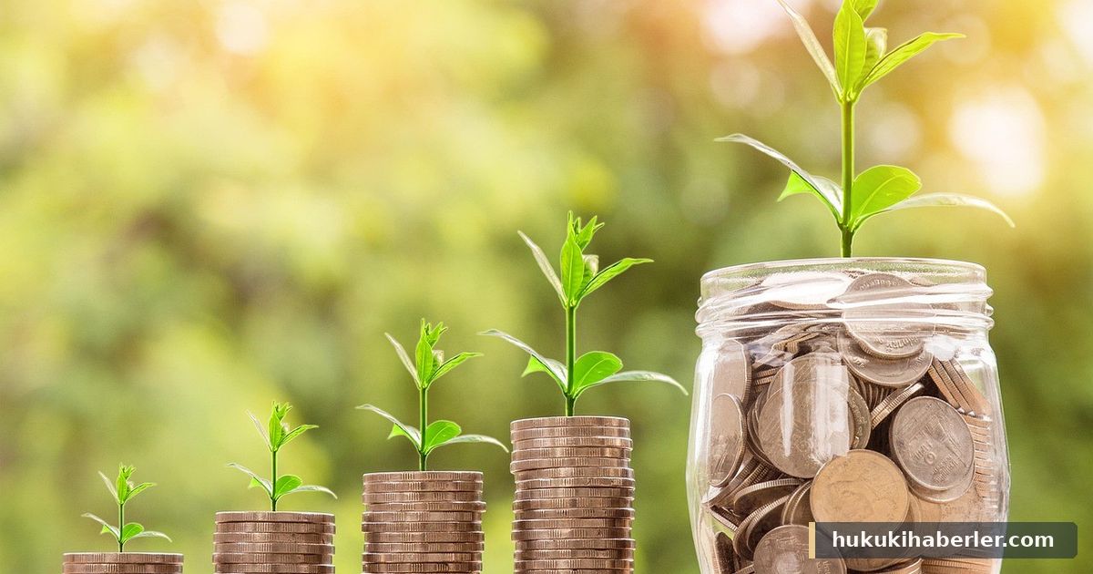 Bitkilerin filizlendiği para yığınları ve madeni paralarla dolu cam kavanoz