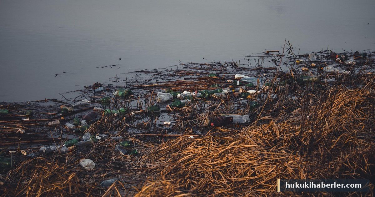 Su kenarında ve sazlıklar arasında birikmiş plastik şişe atıkları